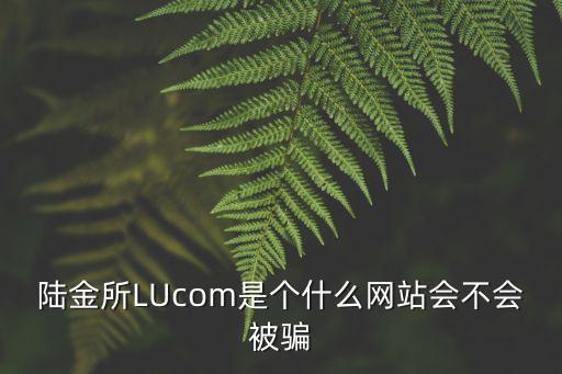 陸金所LUcom是個(gè)什么網(wǎng)站會(huì)不會(huì)被騙