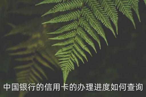 中國(guó)銀行的信用卡的辦理進(jìn)度如何查詢