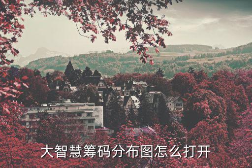 大智慧籌碼分布圖怎么打開