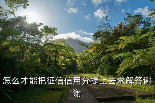 征信綜合評分怎么提高，怎么提高自己的信用評分