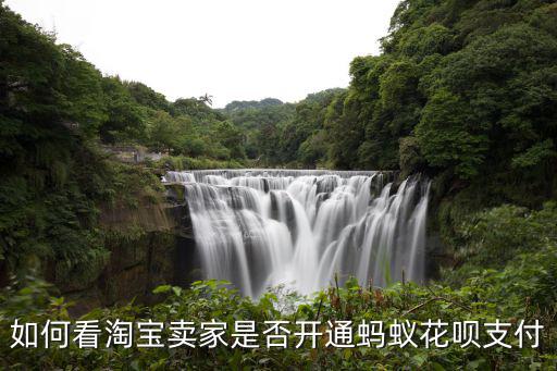 如何看淘寶賣家是否開通螞蟻花唄支付