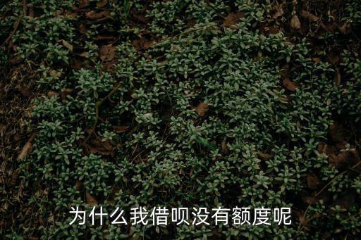 為什么我借唄沒有額度呢
