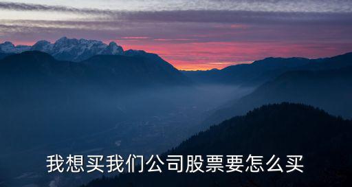 公司股權(quán)怎么買，公司的股權(quán)怎么買賣轉(zhuǎn)讓