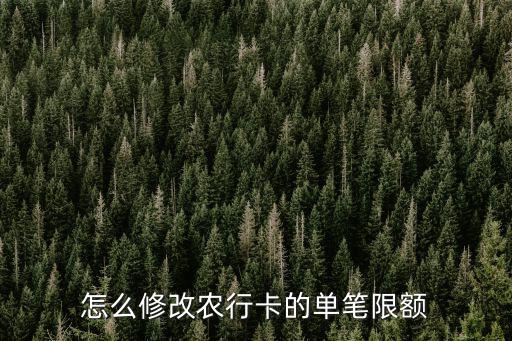 怎么修改農(nóng)行卡的單筆限額
