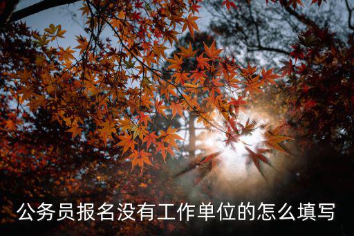 公務(wù)員報(bào)名沒有工作單位的怎么填寫