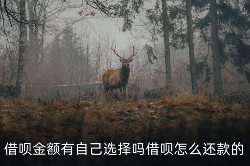 借唄金額有自己選擇嗎借唄怎么還款的