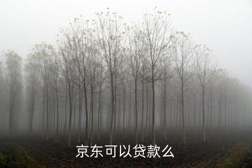 京東怎么現(xiàn)金貸款，京東可以貸款么