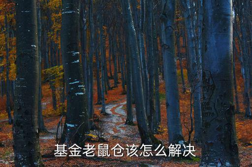 基金老鼠倉該怎么解決