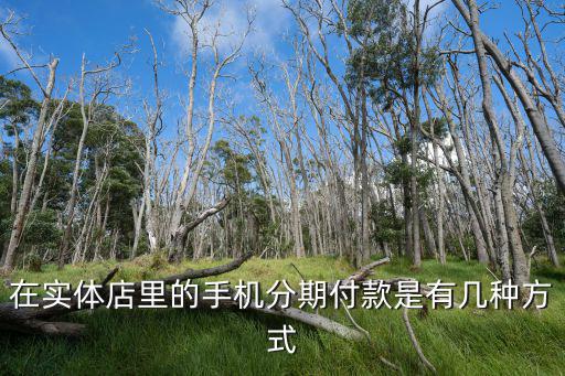 在實體店里的手機分期付款是有幾種方式