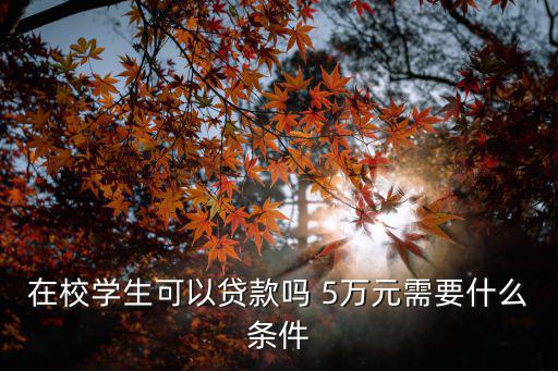 在校學(xué)生可以貸款嗎 5萬元需要什么條件