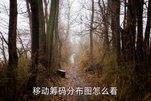 移動(dòng)籌碼分布圖怎么看