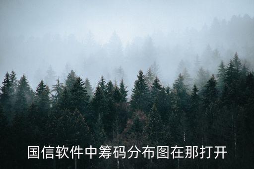 國(guó)信軟件中籌碼分布圖在那打開