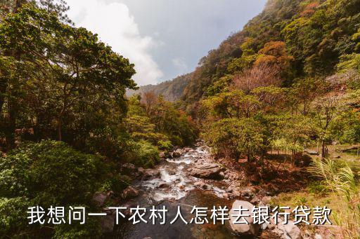 我想問(wèn)一下農(nóng)村人怎樣去銀行貸款