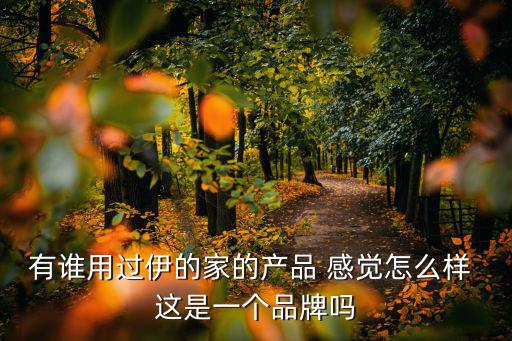 有誰用過伊的家的產(chǎn)品 感覺怎么樣 這是一個品牌嗎