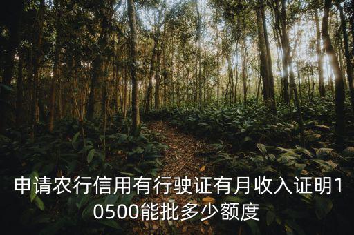 農(nóng)行怎么出預(yù)授信額度，申請(qǐng)農(nóng)行信用有行駛證有月收入證明10500能批多少額度