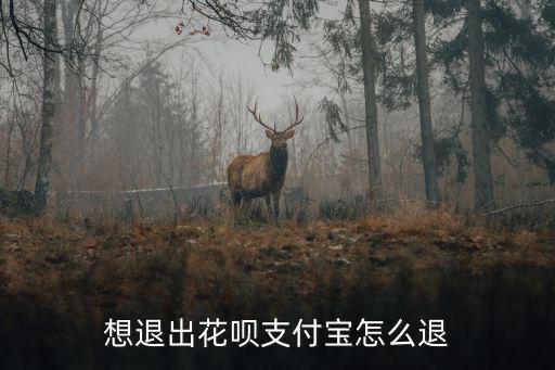 淘寶花唄怎么關(guān)閉花唄支付，想退出花唄支付寶怎么退