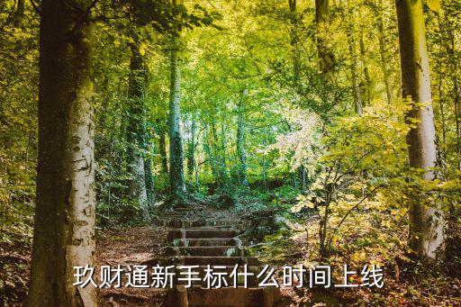玖財通新手標什么時間上線