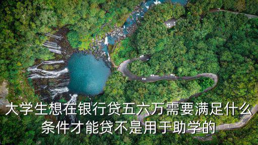 大學(xué)生想在銀行貸五六萬需要滿足什么條件才能貸不是用于助學(xué)的