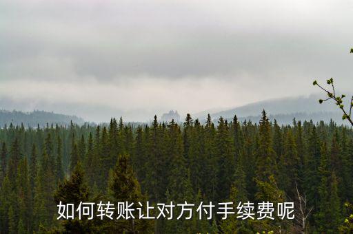如何轉(zhuǎn)賬讓對(duì)方付手續(xù)費(fèi)呢