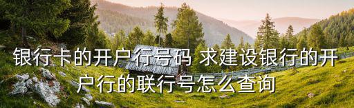 銀行卡的開戶行號碼 求建設(shè)銀行的開戶行的聯(lián)行號怎么查詢