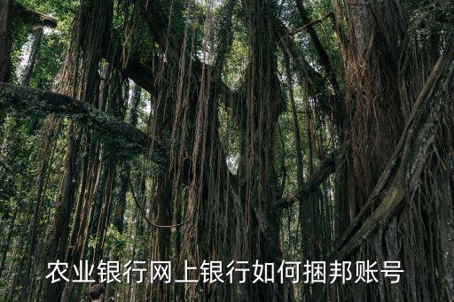 農(nóng)業(yè)銀行網(wǎng)上銀行如何捆邦賬號