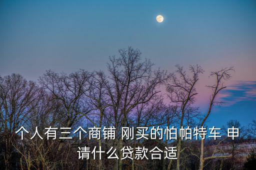 三個人買商鋪怎么貸款，個人有三個商鋪 剛買的怕帕特車 申請什么貸款合適
