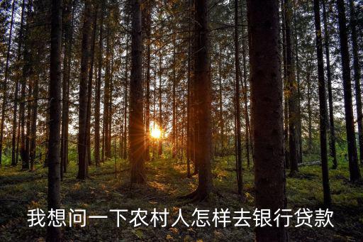 農(nóng)村人借貸款怎么貸款嗎，我想問一下農(nóng)村人怎樣去銀行貸款