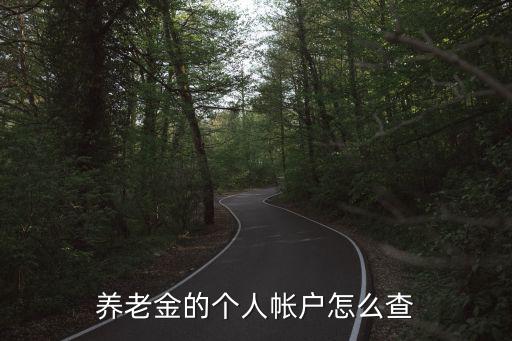 養(yǎng)老金的個(gè)人帳戶怎么查