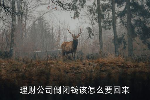 理財(cái)?shù)归]錢(qián)怎么拿回來(lái)，投資理財(cái)公司倒閉后存入的錢(qián)怎么處理
