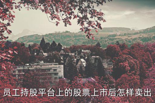 建行員工持股怎么賣(mài)，建行的股權(quán)激勵(lì)怎么賣(mài)
