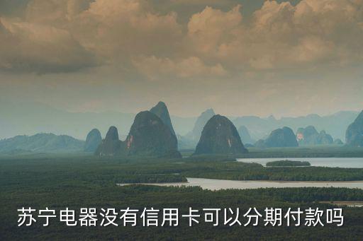 蘇寧電器沒(méi)有信用卡可以分期付款嗎