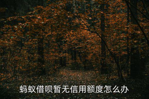 螞蟻借唄暫無信用額度怎么辦