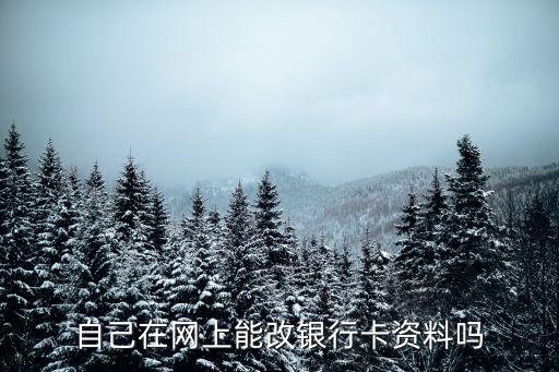 自己在網(wǎng)上能改銀行卡資料嗎