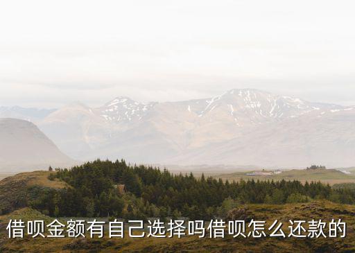借唄分期自己怎么還，螞蟻借唄先息后本的利息可以自己手動(dòng)還不