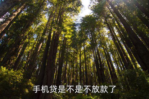 手機(jī)貸是不是不放款了