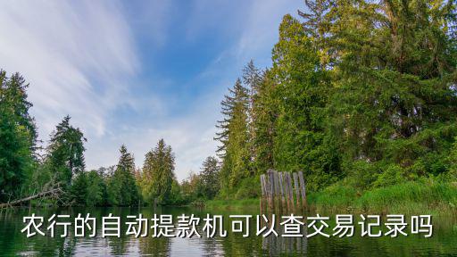 農(nóng)行交易明細怎么查詢嗎，如何查詢中國農(nóng)業(yè)銀行交易記錄