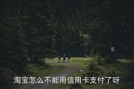 淘寶怎么不能用信用卡支付了呀