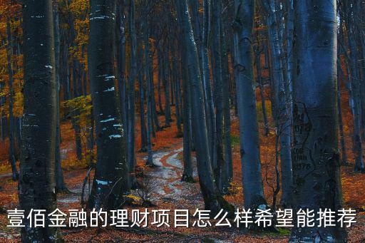 壹佰金融怎么投資劃算，100元如何投資理財產(chǎn)品有無門檻限制啊