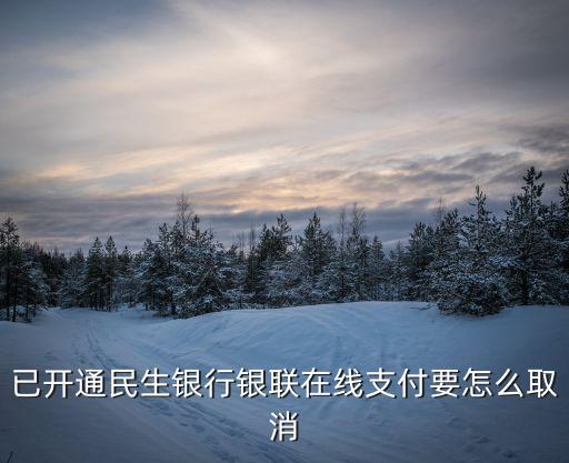 已開通民生銀行銀聯(lián)在線支付要怎么取消