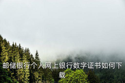 銀行數(shù)字證書(shū)怎么下載安裝，工商行的數(shù)字證書(shū)去哪下載