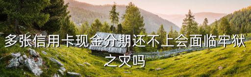 多張信用卡現(xiàn)金分期還不上會(huì)面臨牢獄之災(zāi)嗎