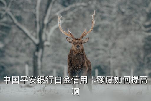 平安白金卡怎么用提額度是多少錢，中國(guó)平安銀行白金信用卡額度如何提高啊