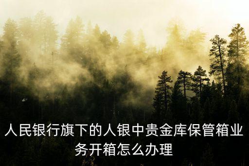 人民銀行旗下的人銀中貴金庫保管箱業(yè)務(wù)開箱怎么辦理