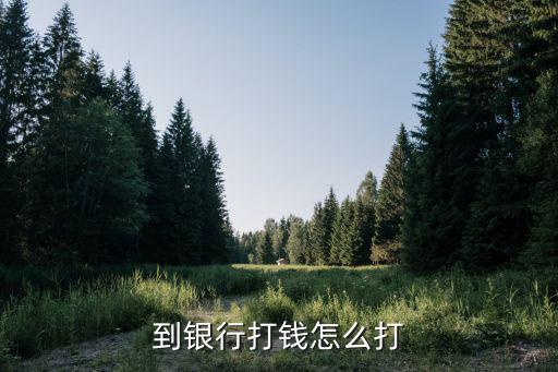 到銀行打錢怎么打
