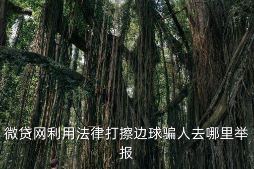 微貸網(wǎng)利用法律打擦邊球騙人去哪里舉報(bào)