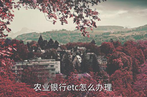 山東農(nóng)行的etc怎么辦理流程，山東高速公路ETC魯通卡怎么辦理