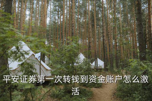 平安證券第一次轉(zhuǎn)錢(qián)到資金賬戶怎么激活