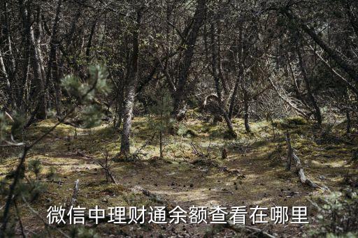 微信中理財(cái)通余額查看在哪里