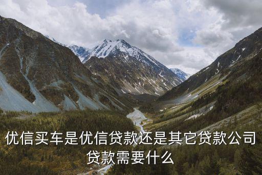 優(yōu)信買車是優(yōu)信貸款還是其它貸款公司貸款需要什么