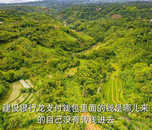 建設(shè)銀行龍支付錢包里面的錢是哪兒來的自己沒有轉(zhuǎn)錢進(jìn)去